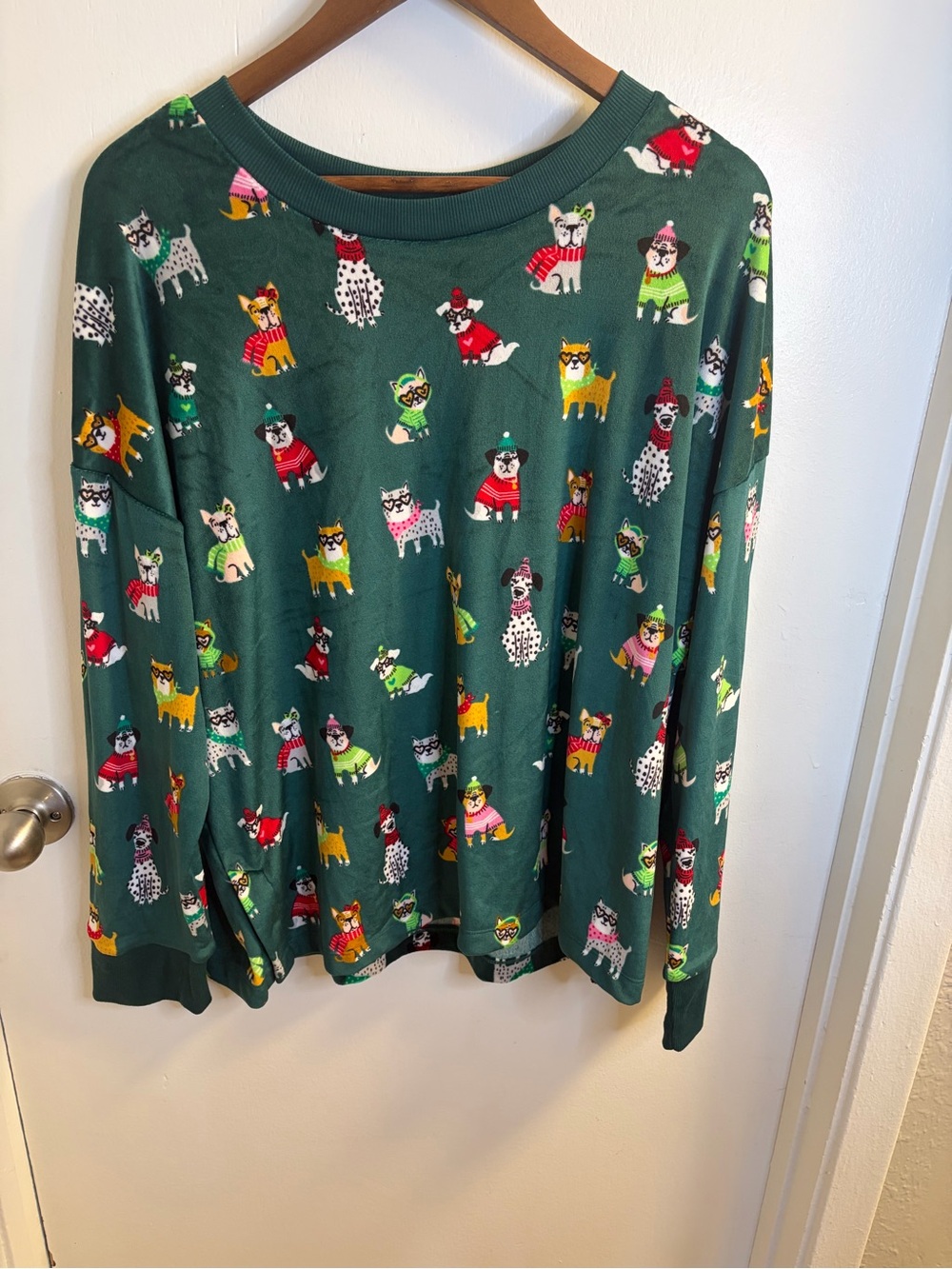 Joyspun Women’s XL Green Dog Print Pajama Top Long Sleeve Puppy Sleep Shirt